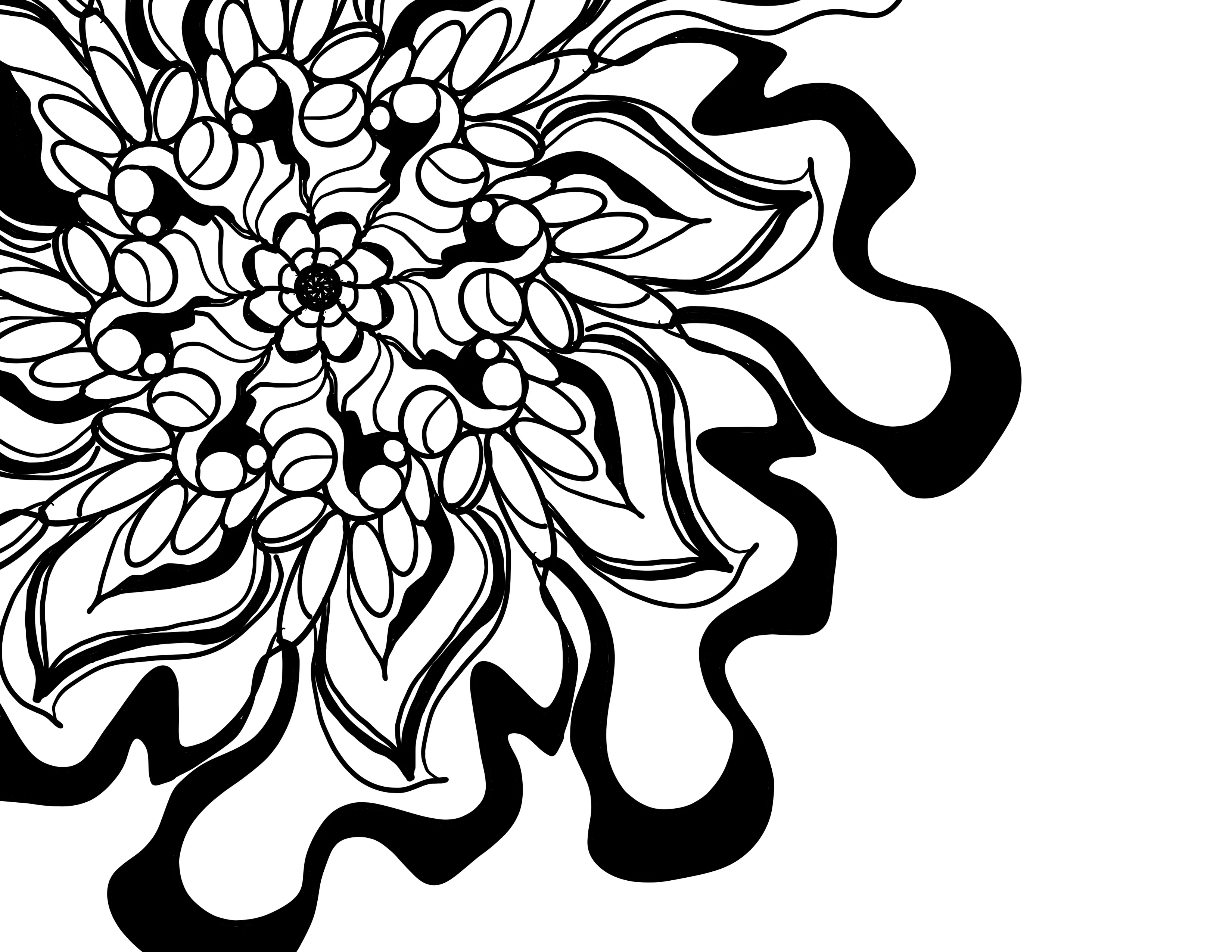 Joy in living color - chrysanthemum