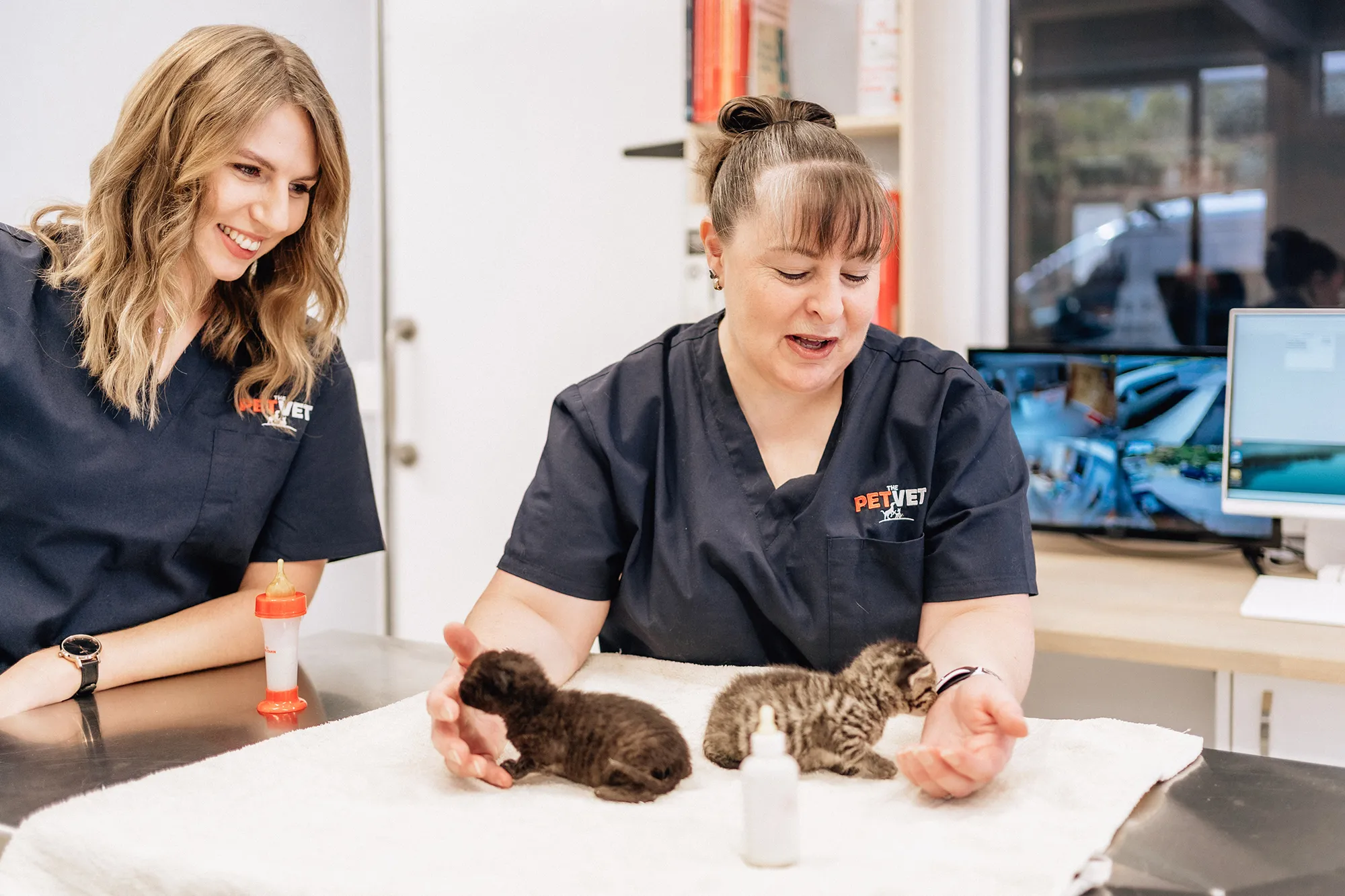 Two Pet Vet female staff members playing with kittens