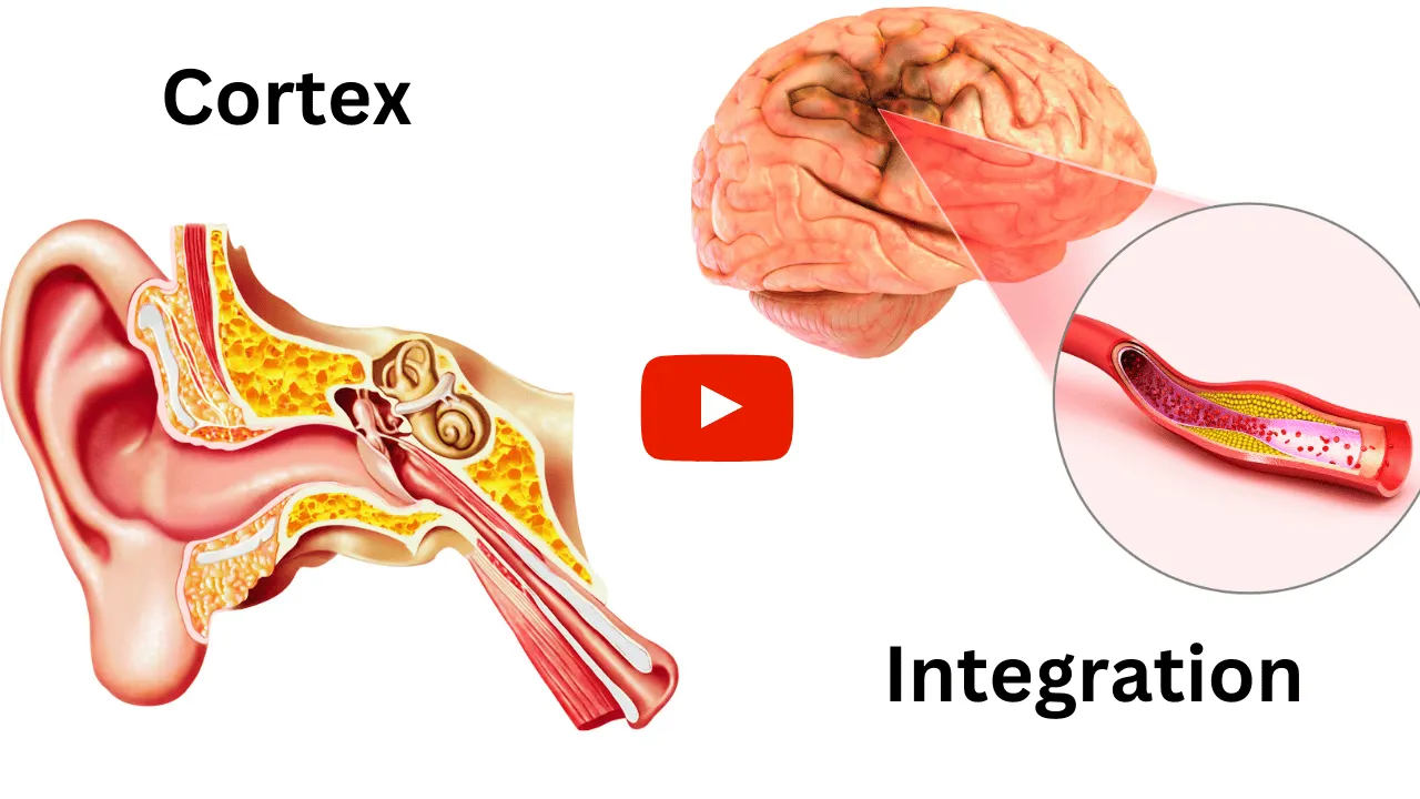 Cortex Integration Solution