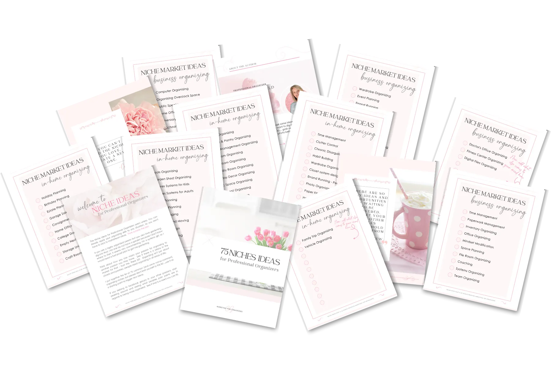 75 Niche Ideas for Pro Organizers