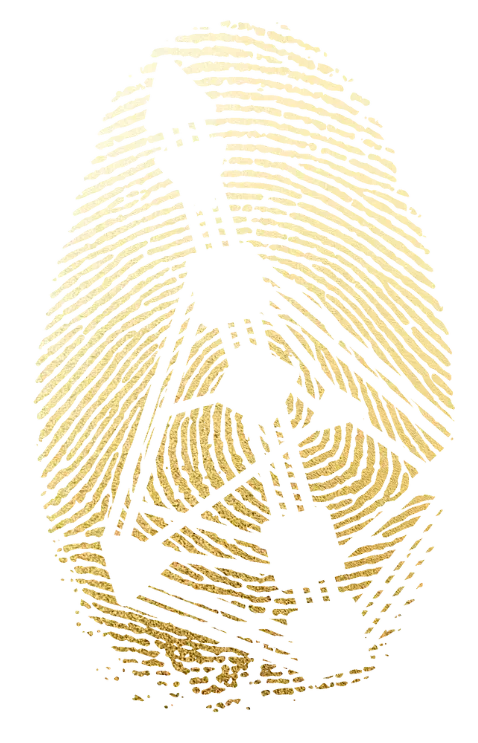 human design fingerprint