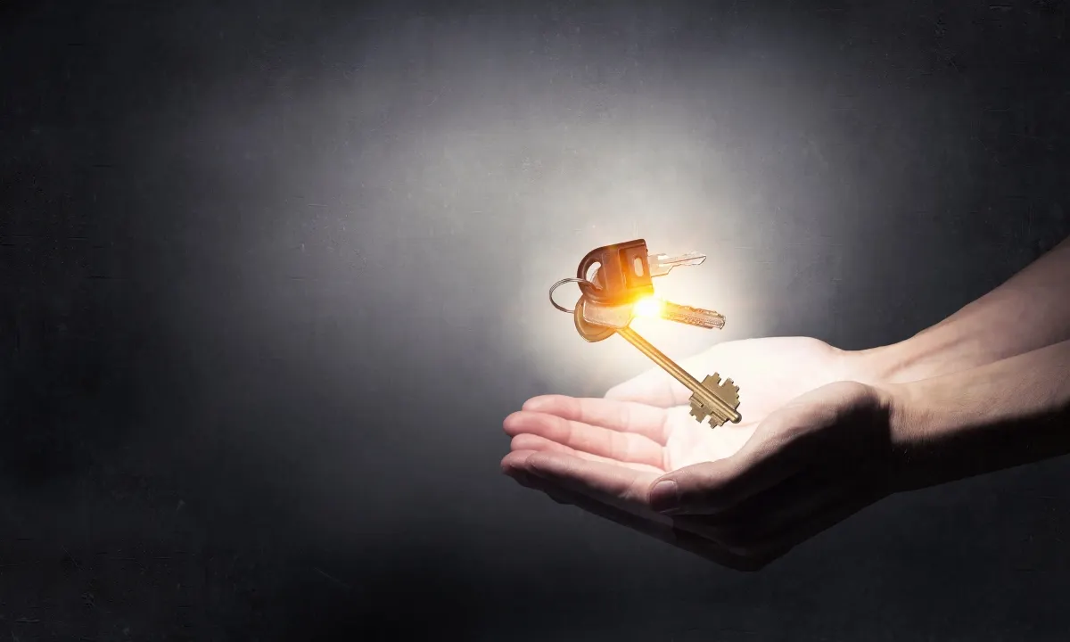 Haniel Consulting Business and Life