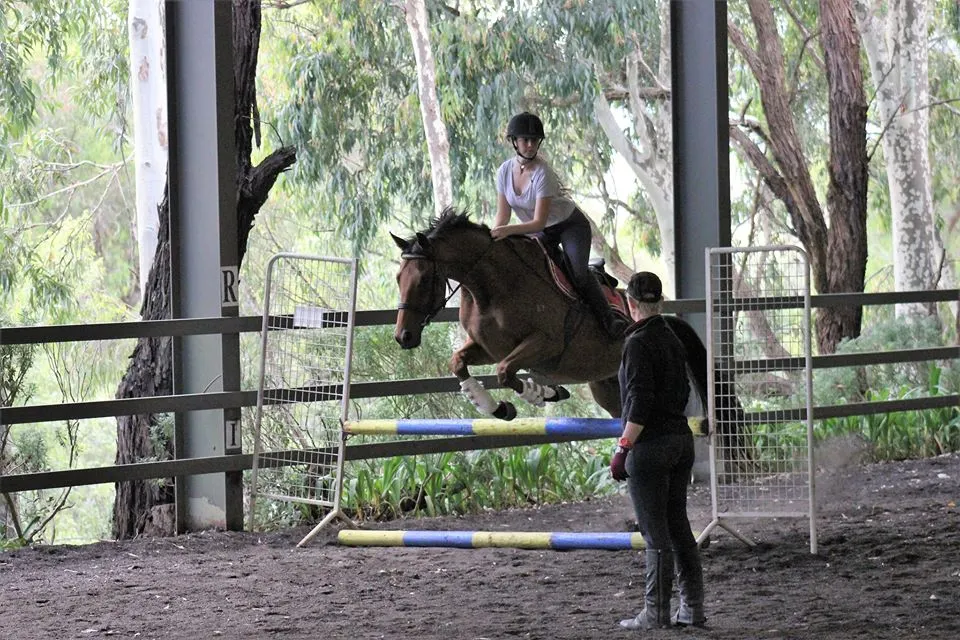 Leanne instructing a rider over jumps in 2-point position