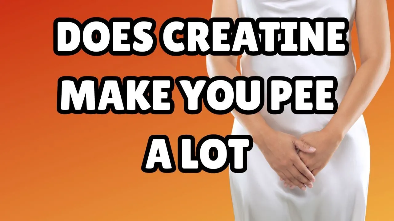 Does Creatine Make You Pee More? Insights on Creatine Supplementation