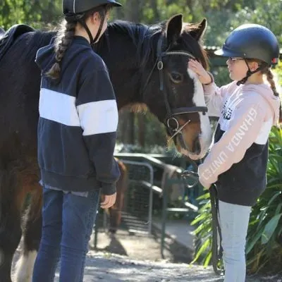 Our School horse Stormy getting pets before a riding lesson in a school holiday riding program.