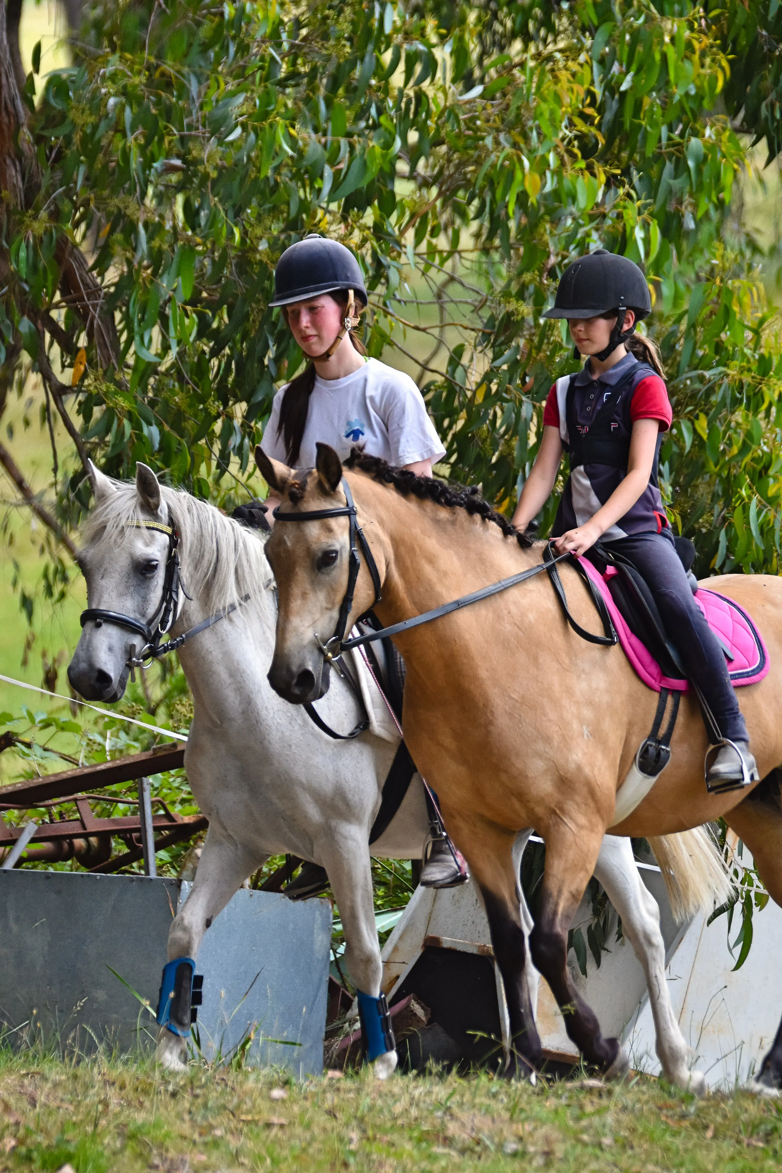 2 riders riding side-by-side out in the open at our Horse Owner Camp