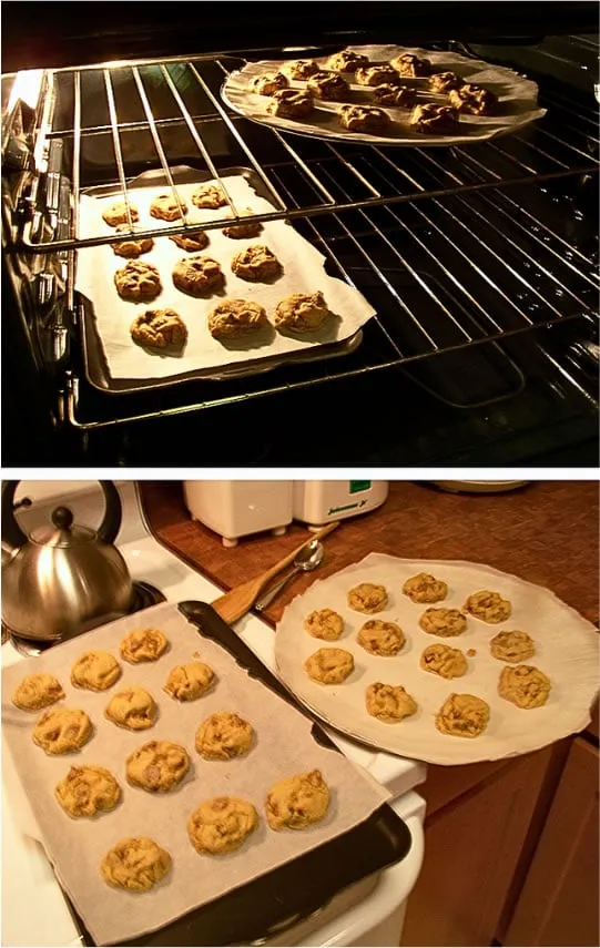 Bart Smith's 'World Famous' Chocolate Chip Cookies (BartsCookies.com)