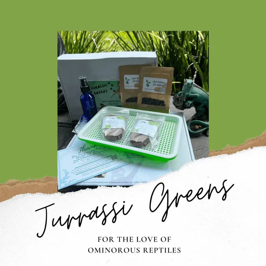 Jurasic Microgreens Kit