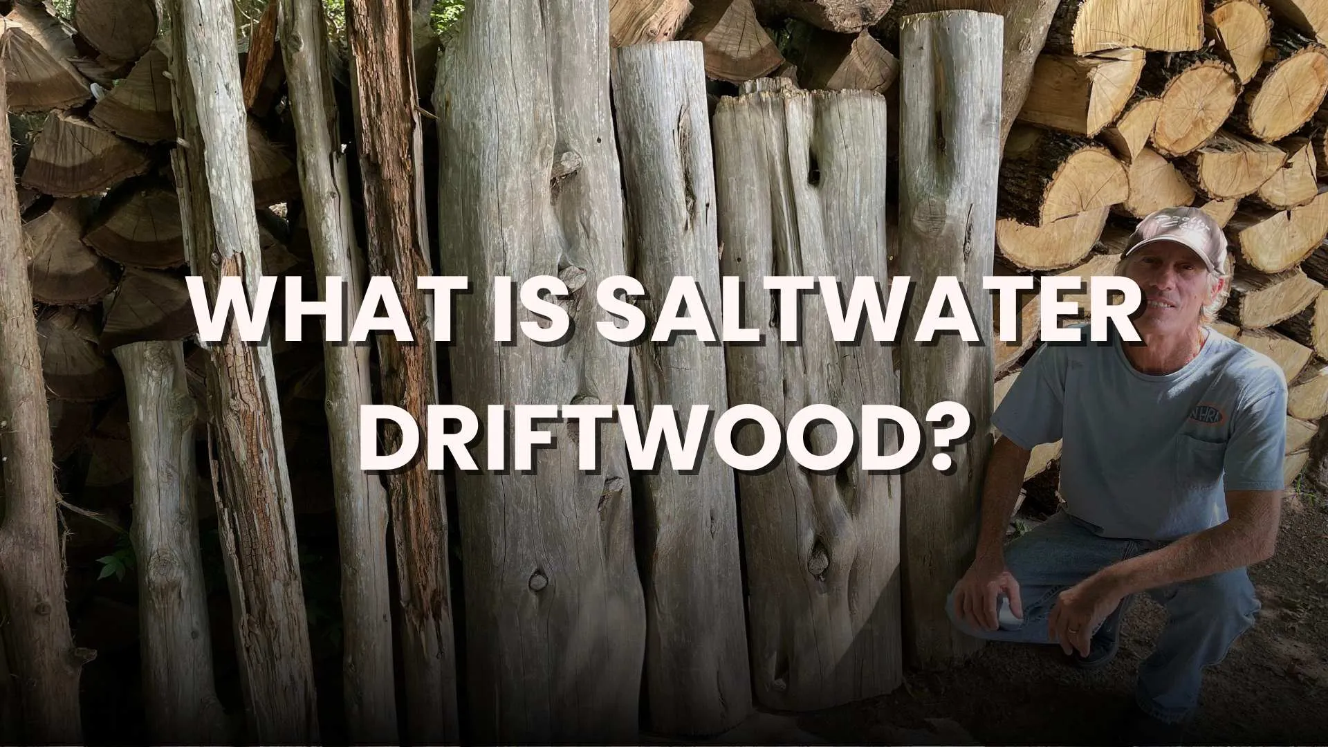 saltwater driftwood decor