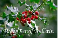 Holly Berry Bulletin