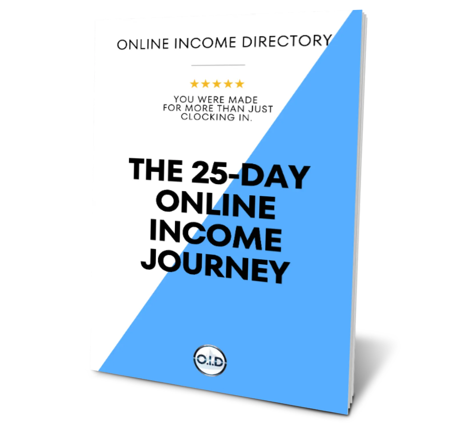 25 day online income guide