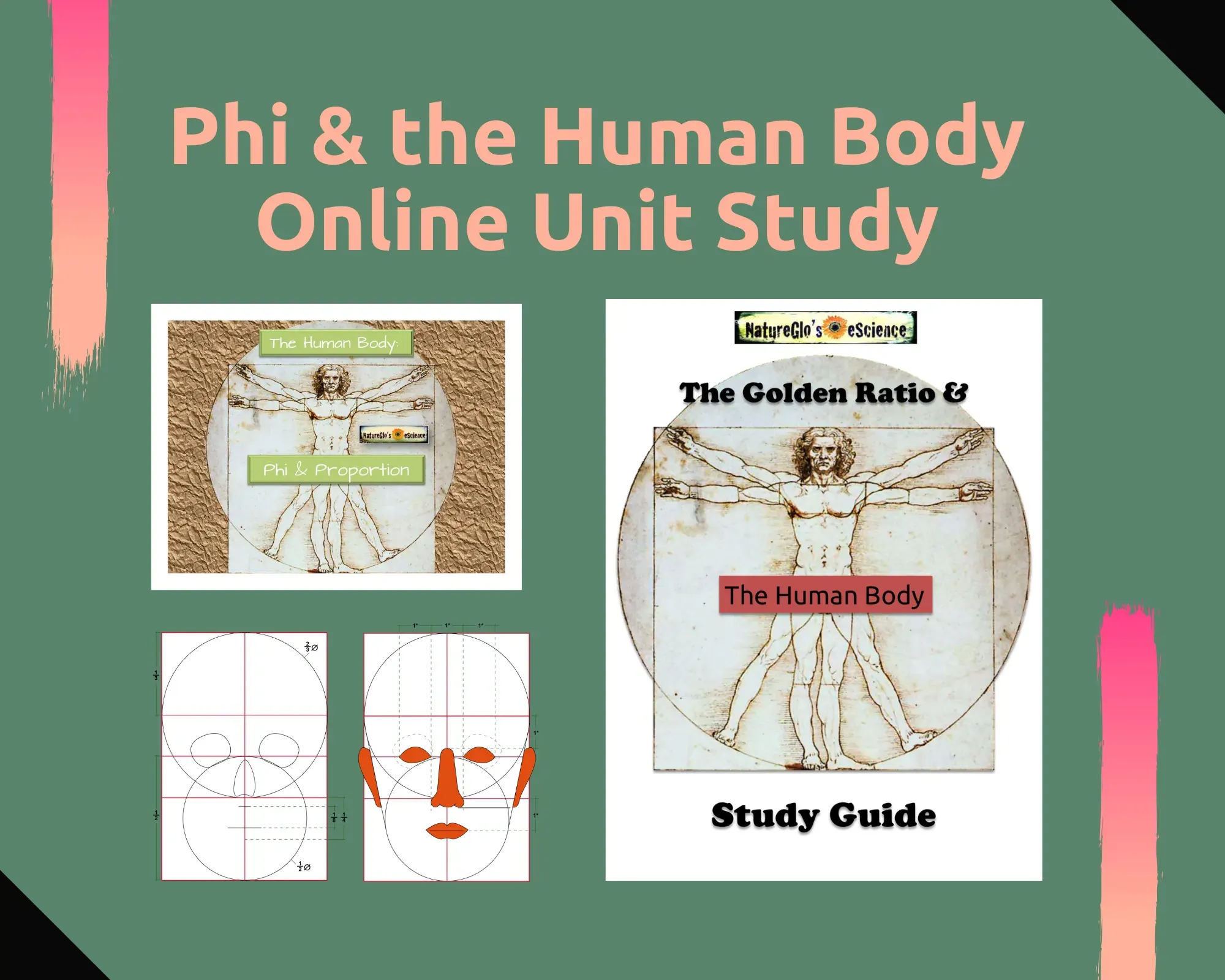 Phi and the human body online course