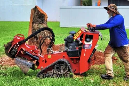 stump grinding tropical south 