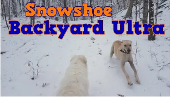 backyard snowshoe ultra