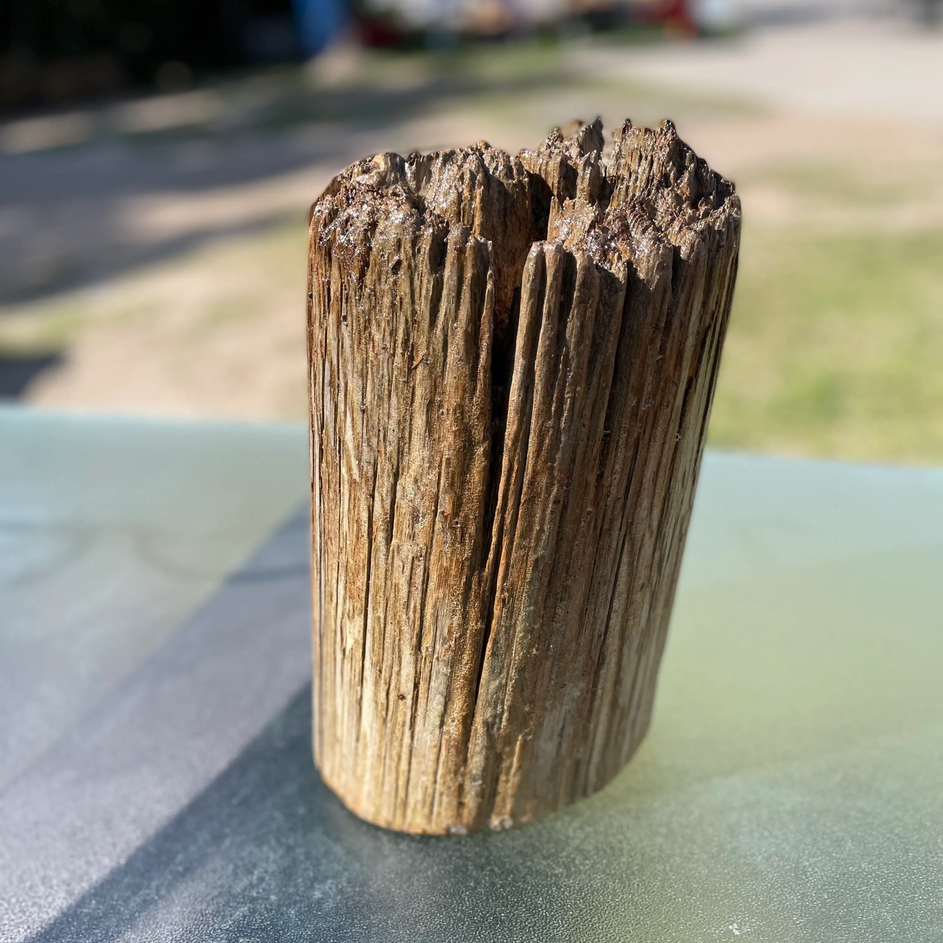 boatt post new driftwood collection