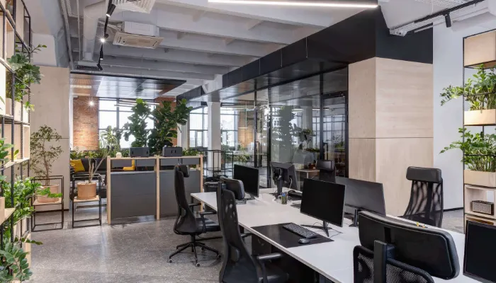 scenic office suite with plants