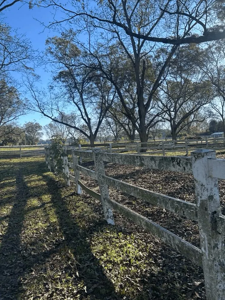 <alt=“Before wood fence pressure washing in Dawes Alabama showing heavy algae and mildew buildup on ranch-style fencing.”>