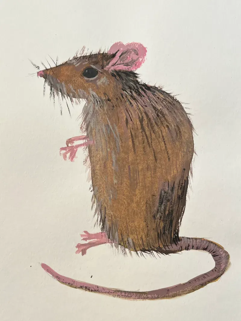 bianca-rathgeb-maus-illustration