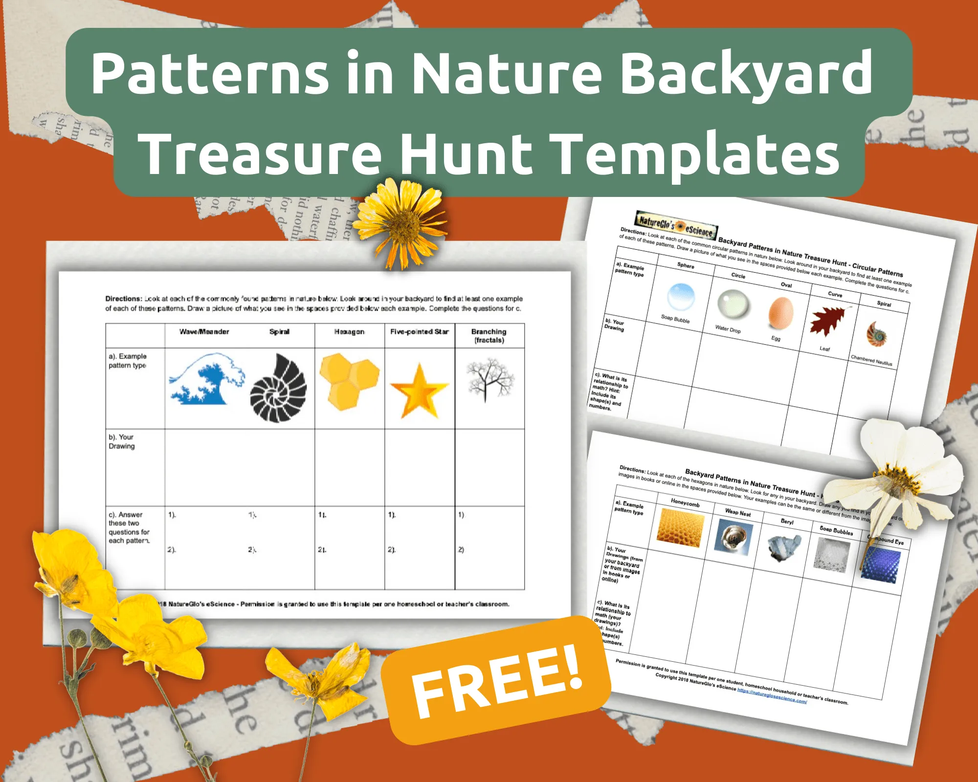 Three Patterns in Nature Template Bundle