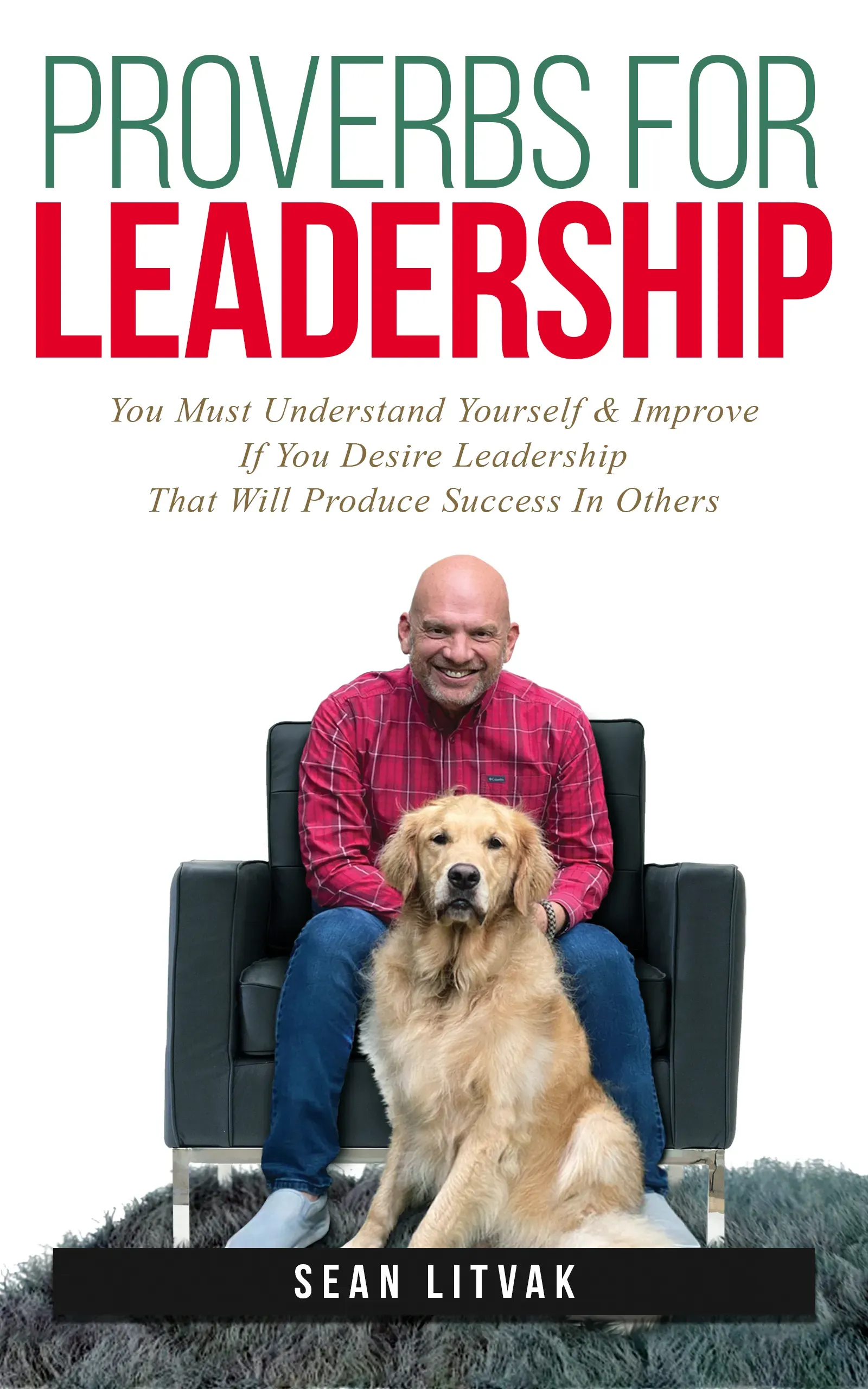 Proverbs for Leadership — book cover