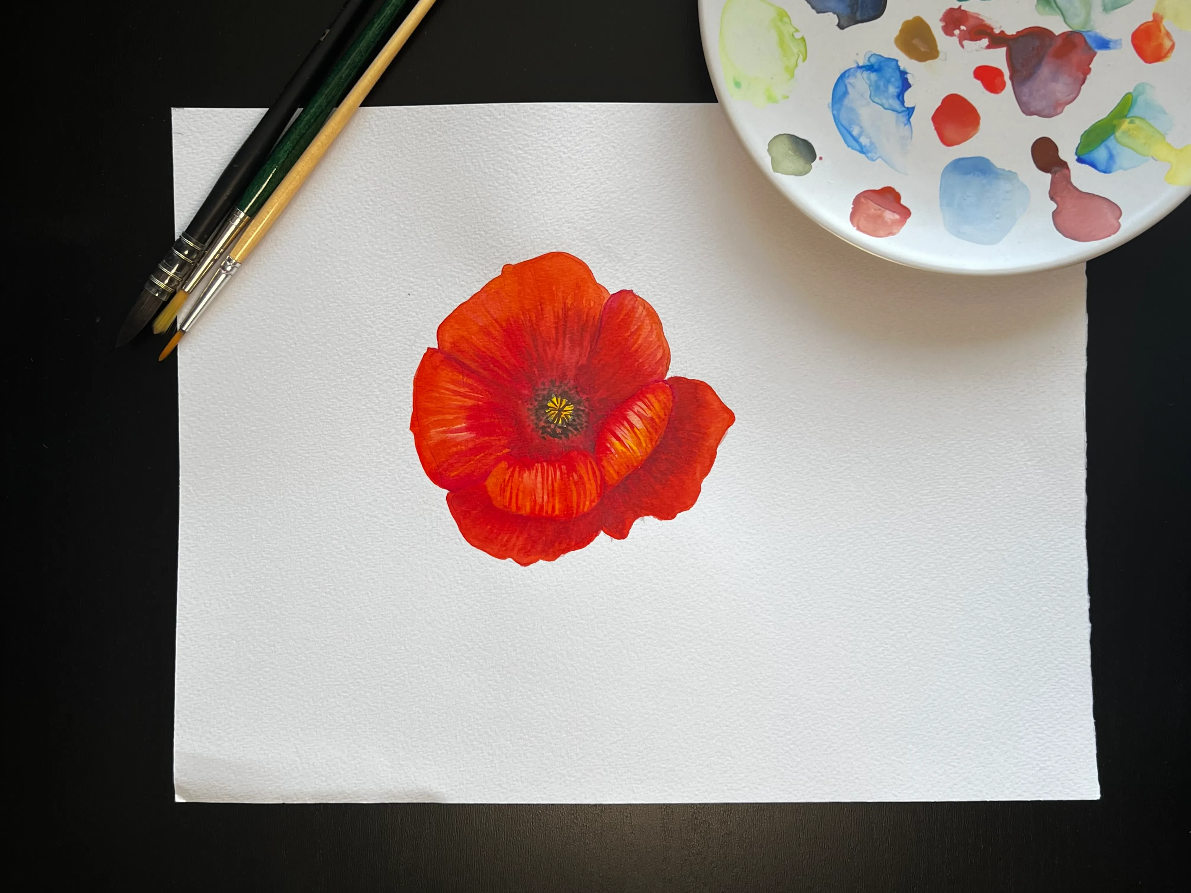 bianca-rathgeb-mohn-blume-illustration