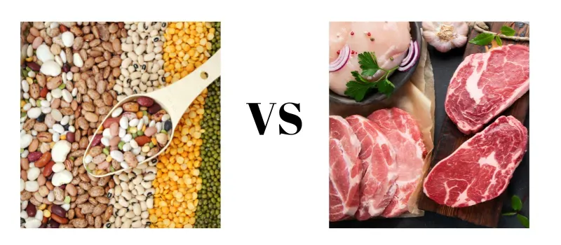 Protein in Beans vs Meat