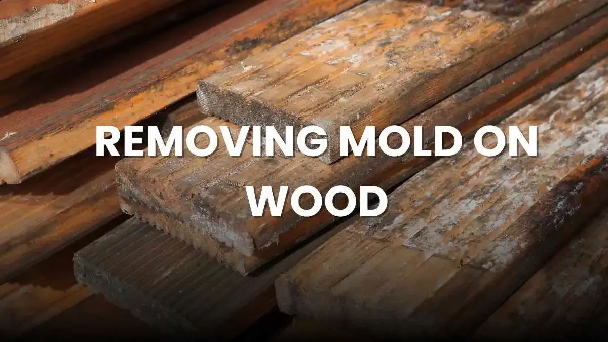 removing mold on wood