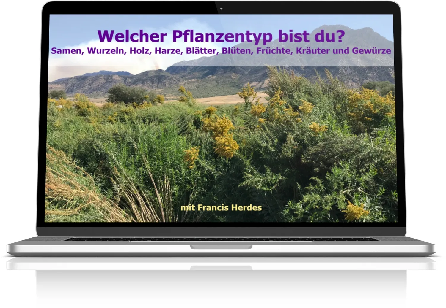 Welcher Pflanzentyp bist du?