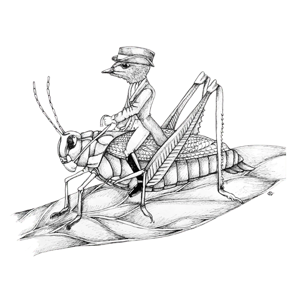 Grasshopper & Bird by Donna Dery