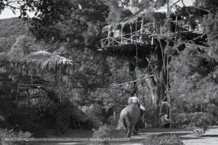 treehouse