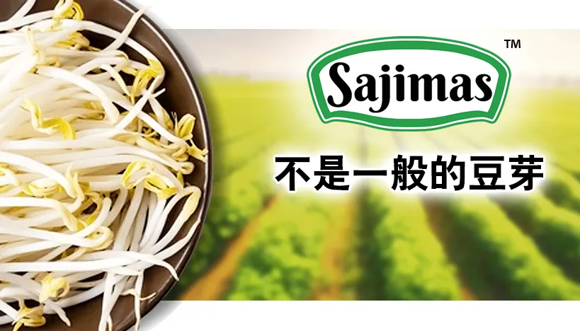 Sajimas 豆芽