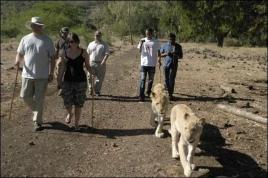 Jess and me walking lions