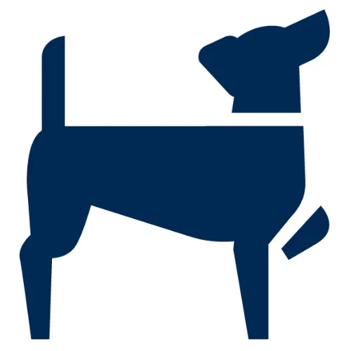 Icon representing ideal age to start puppy training in Northwest Arkansas
