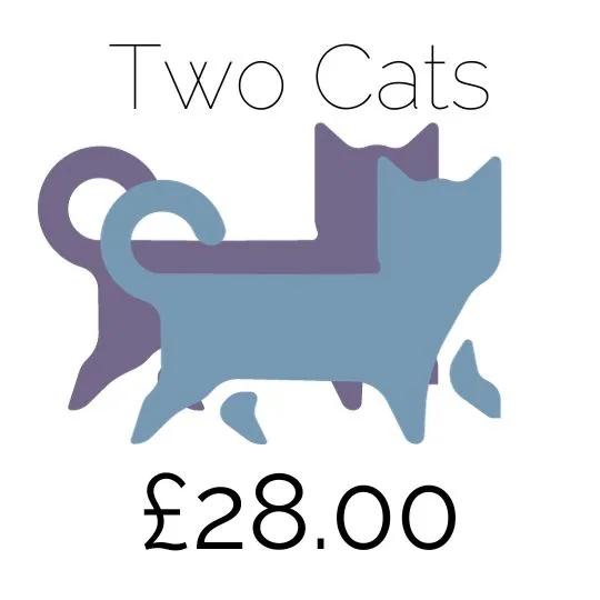 Price for two cats at Amberlodge