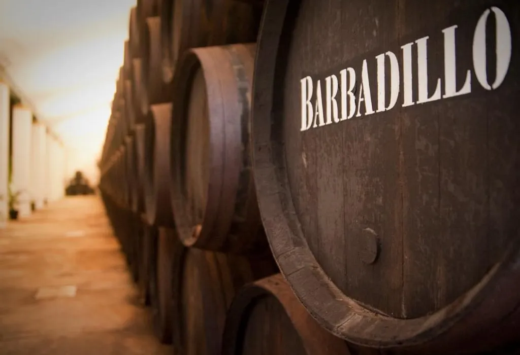 winery barbadillo