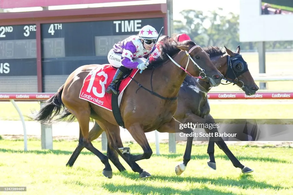 Diamanda at the races