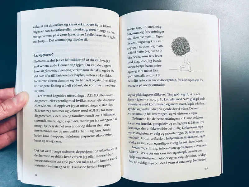 bianca-rathgeb-book-kaoskontroll-illustration