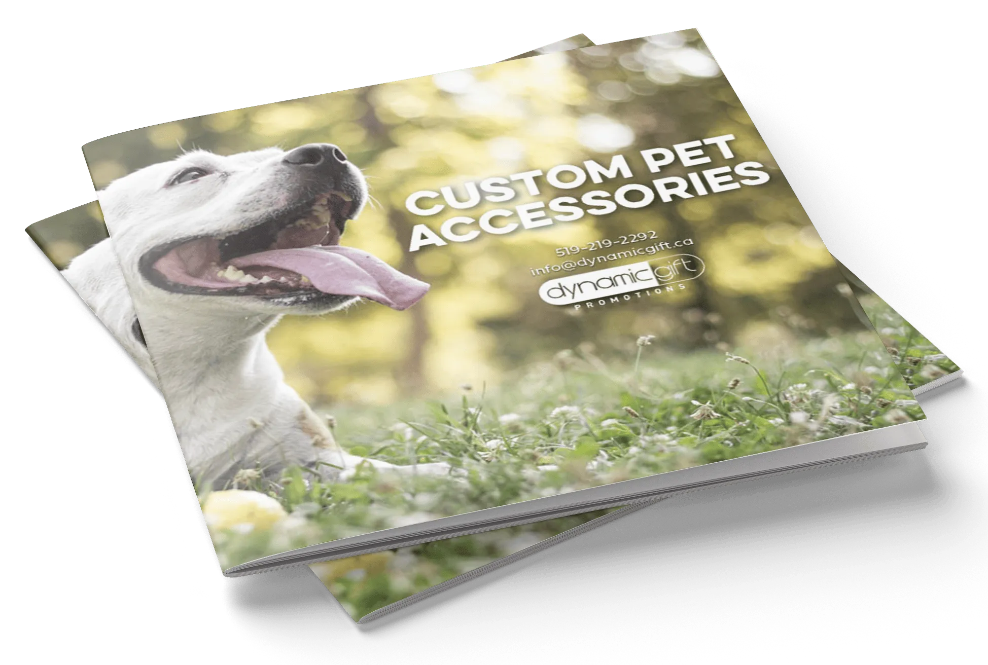 Custom Pet Accessories LOOKBOOK by Dynamic Gift
