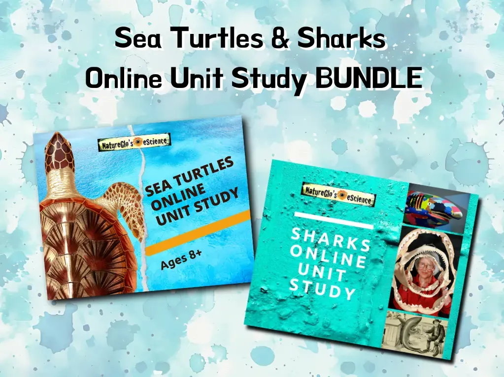 homechool unit study planner bundle