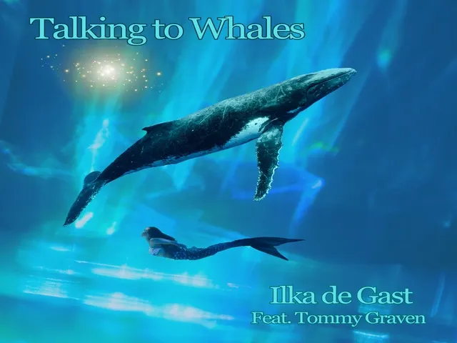 Talking to Whales