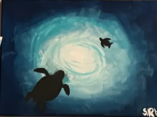 Sea Turtles