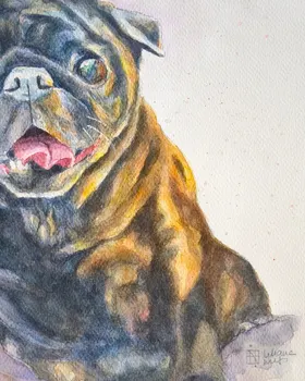 Zookromia - Acuarela