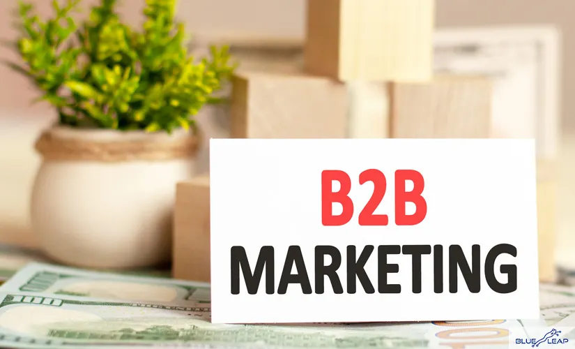 SEO Strategies for B2B Organizations