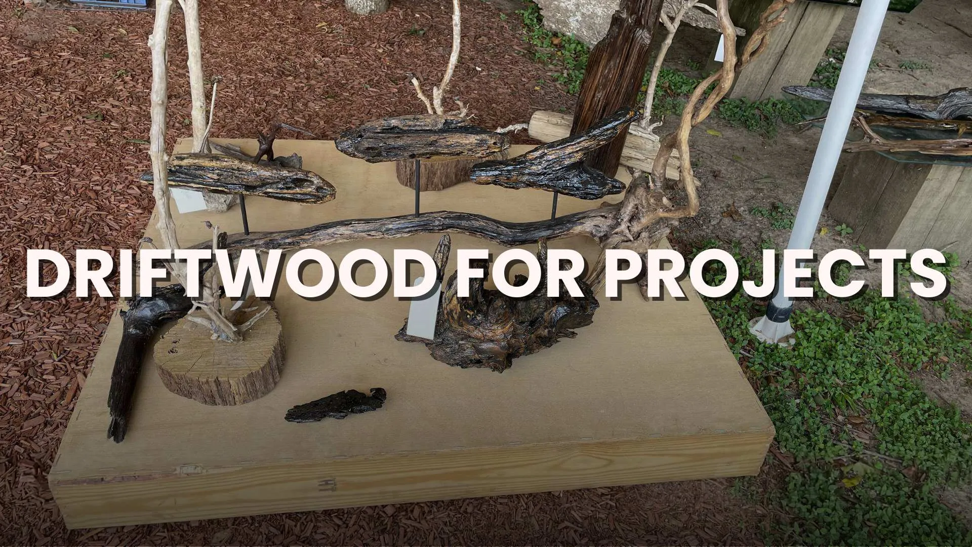 affordable driftwood for projects