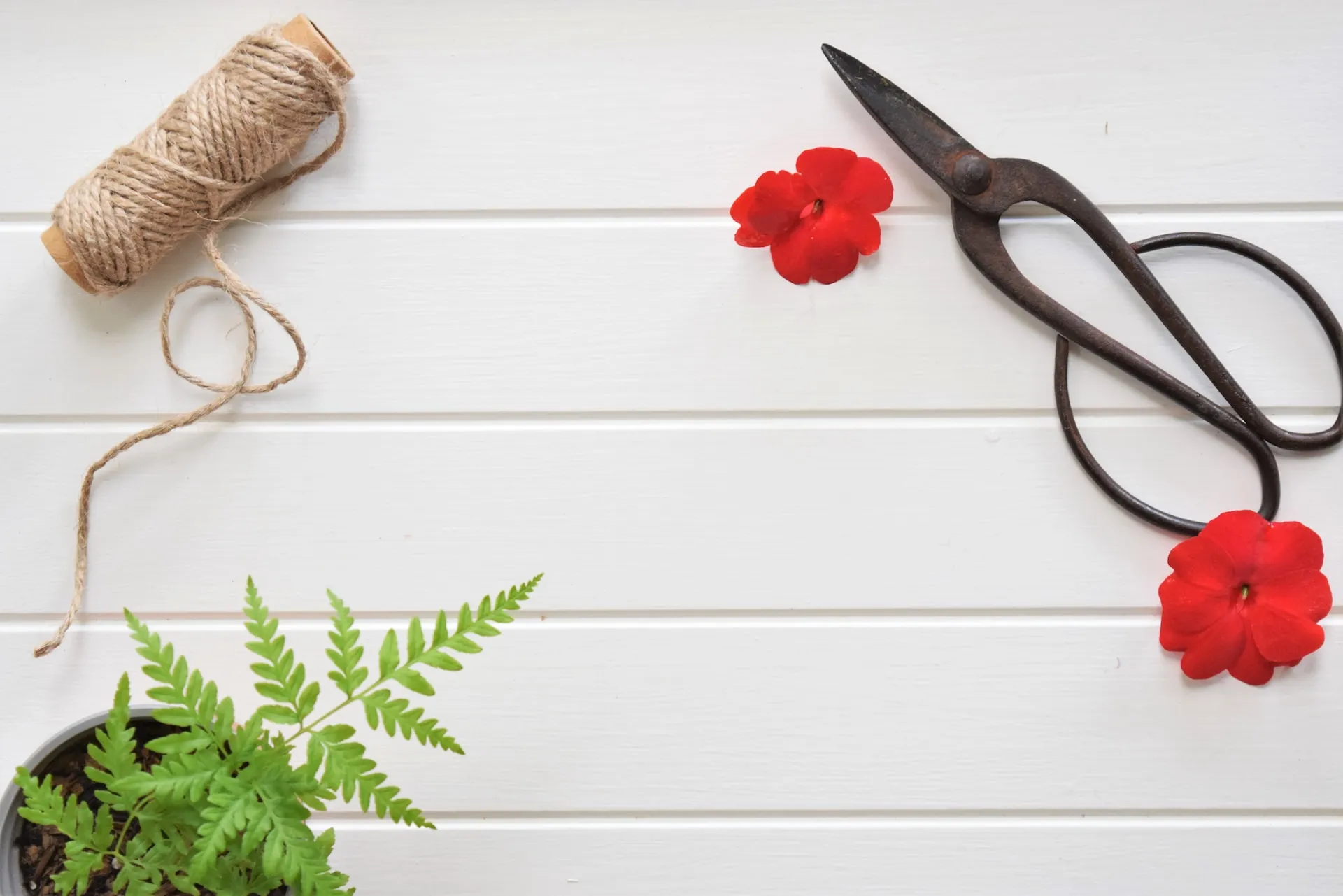 7 Simple Ways to Spring Clean Your Business: Priorities for an ...