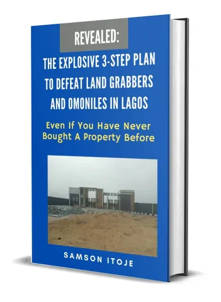 The Explosive 3-Step Plan To Defeat Land Grabbers And Omoniles In Lagos, Even If You Have Never Bought A Property Before