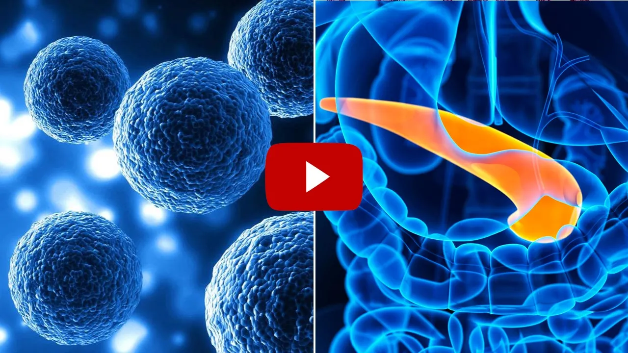 Restore Your Blood Sugar Levels To Near Perfection!