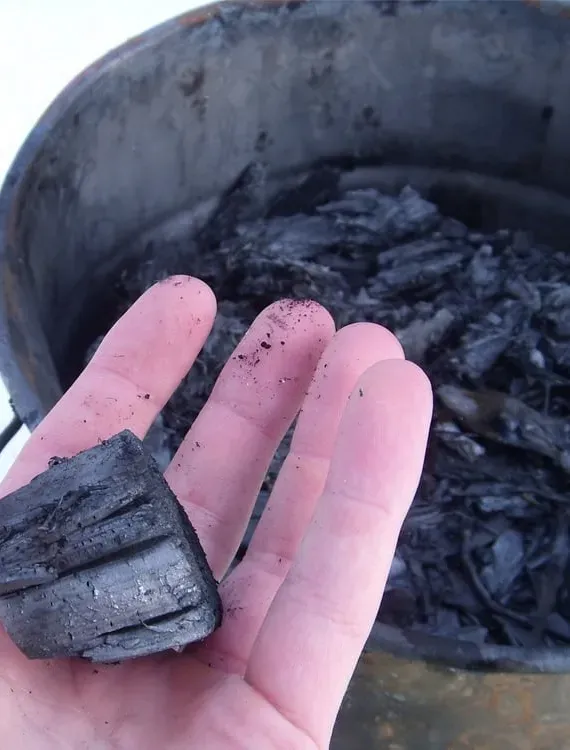 biochar