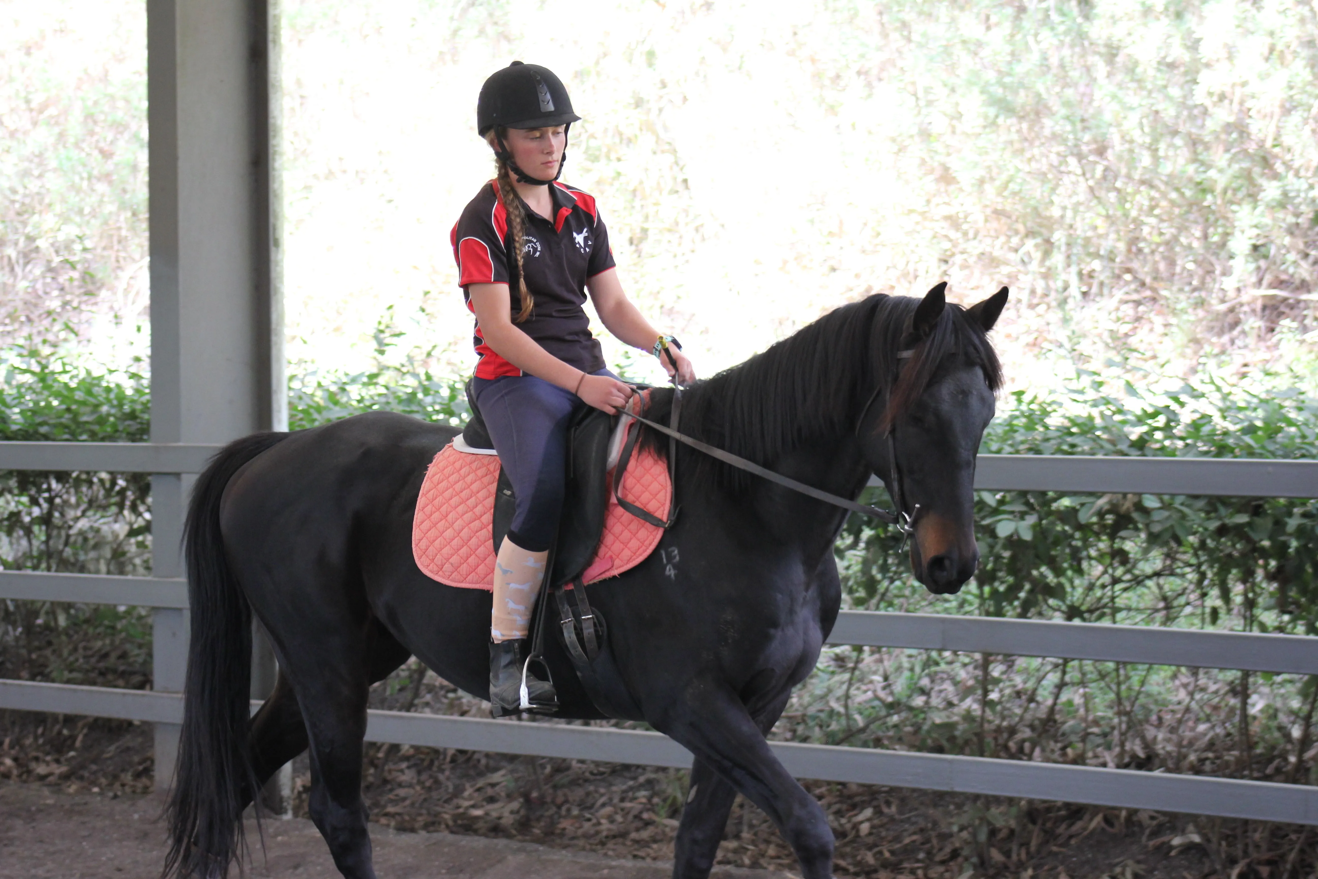 Danny being ridden in a nice telescoped posture 