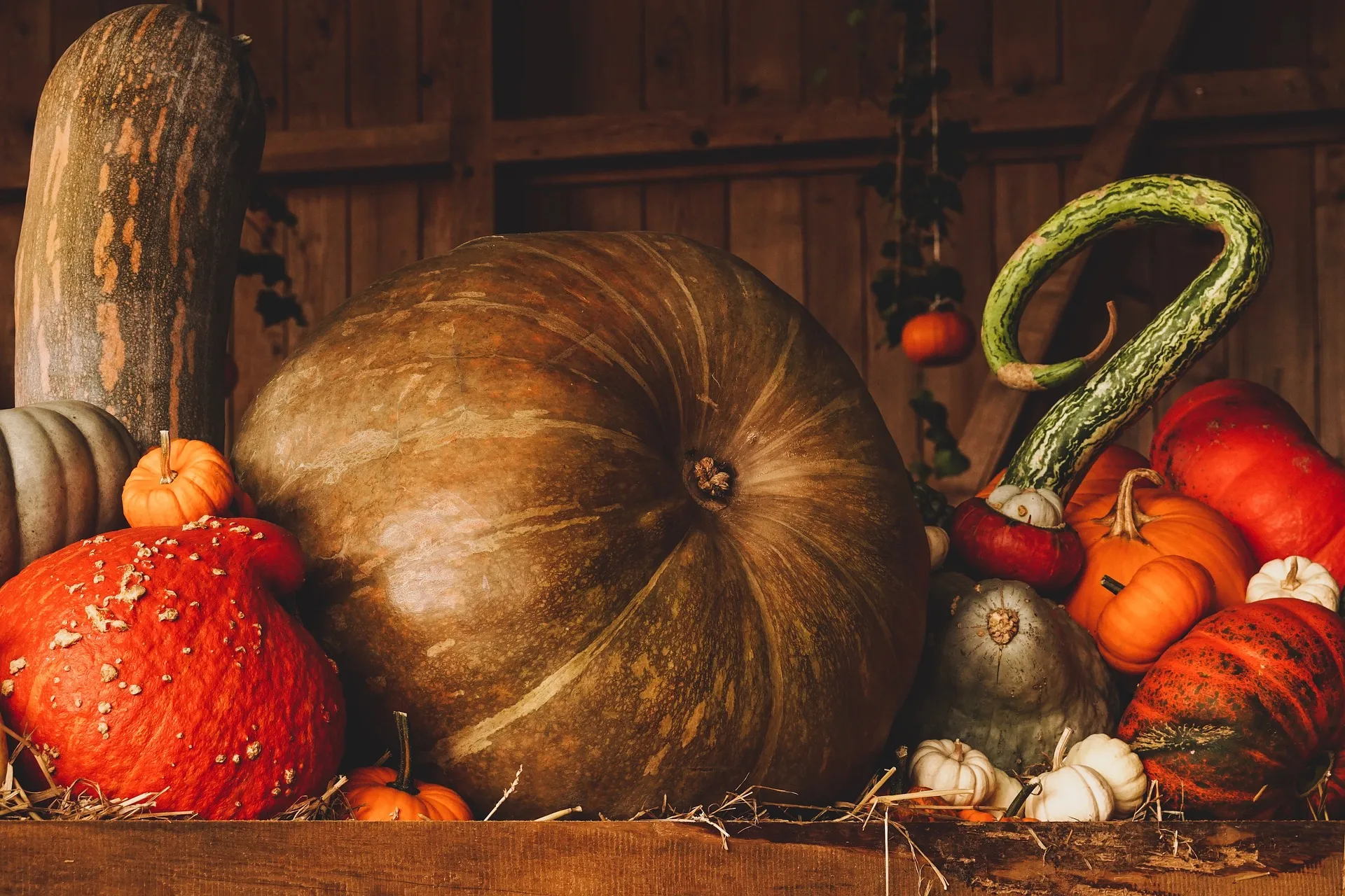 The scent of fresh pumpkins